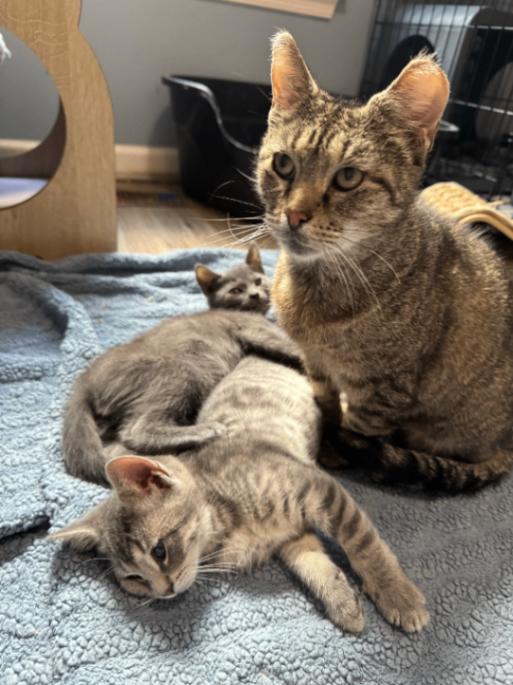 Beauty — thumbnail 2