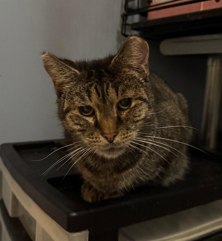 Beauty — thumbnail 4