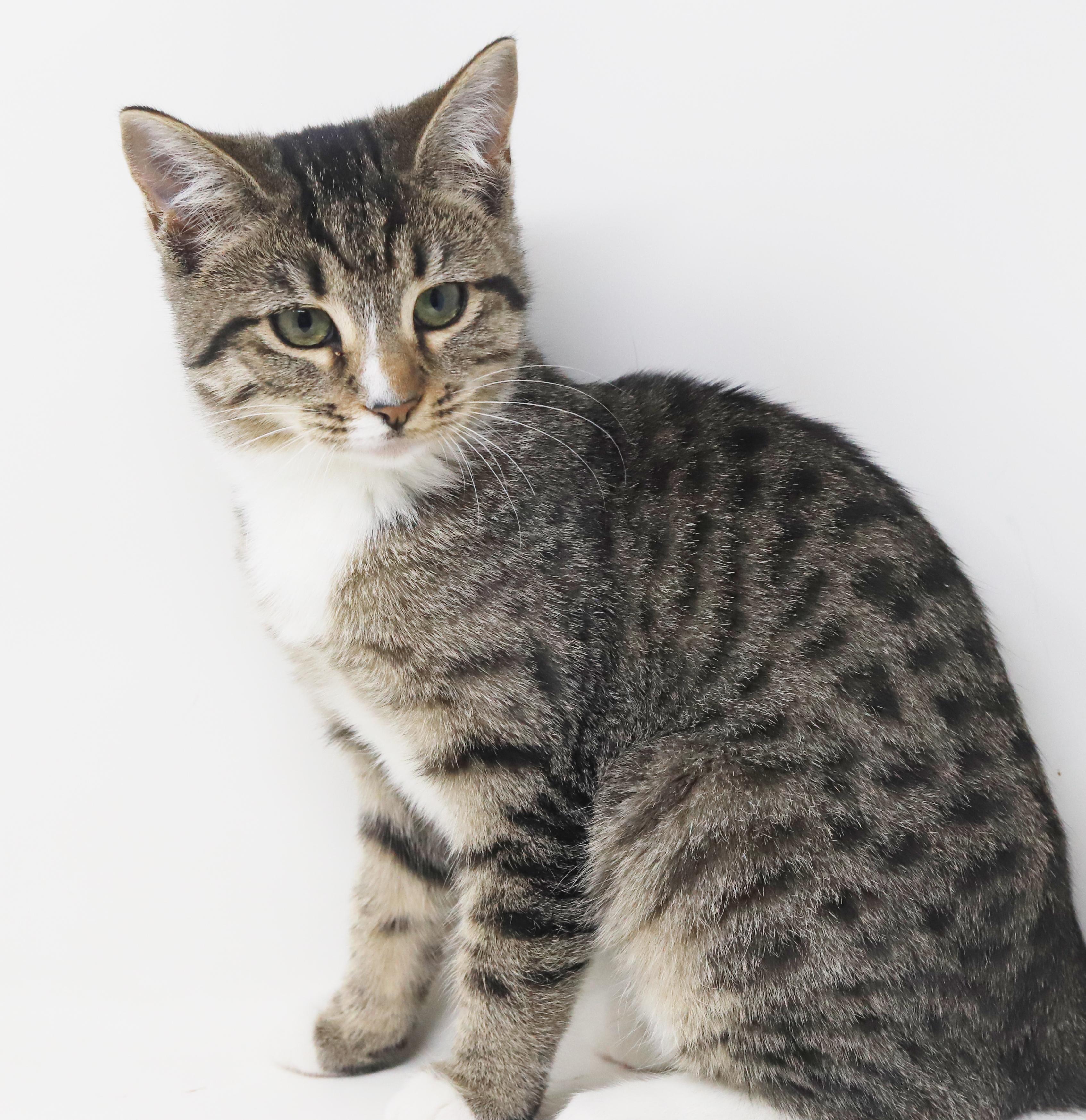 Marbles Is Sooo Darn