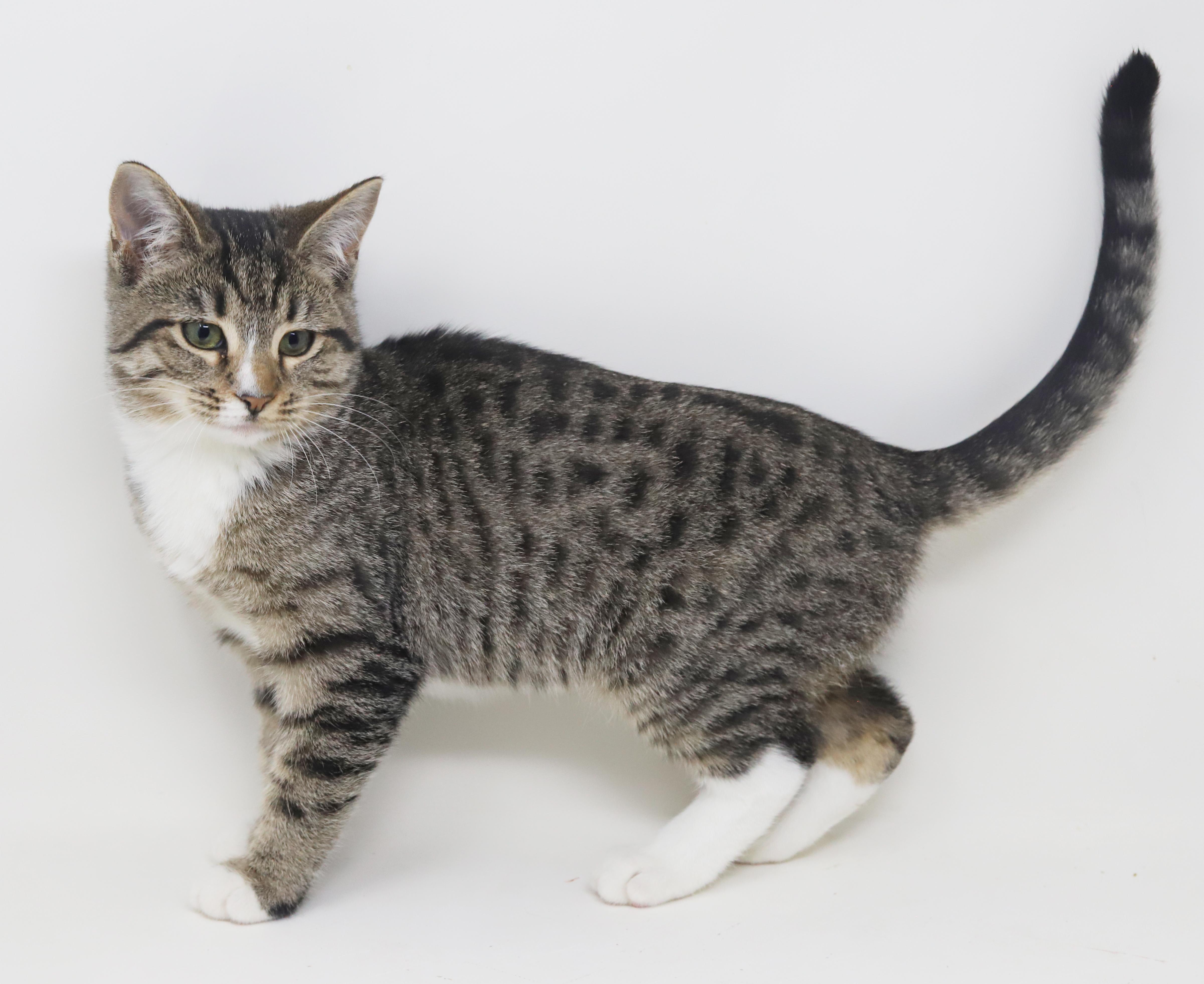 Marbles Is Sooo Darn thumbnail 3