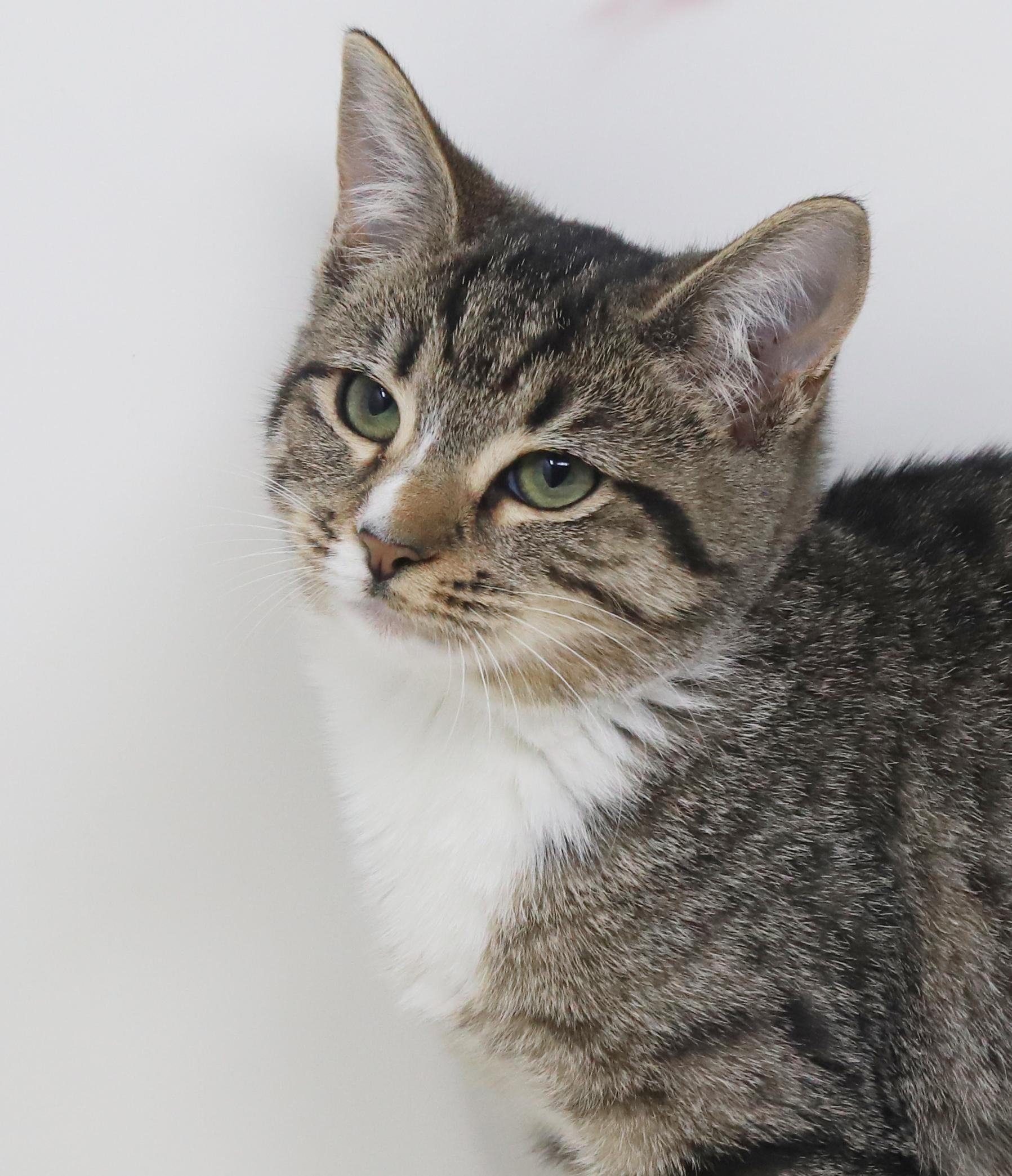 Marbles Is Sooo Darn thumbnail 4