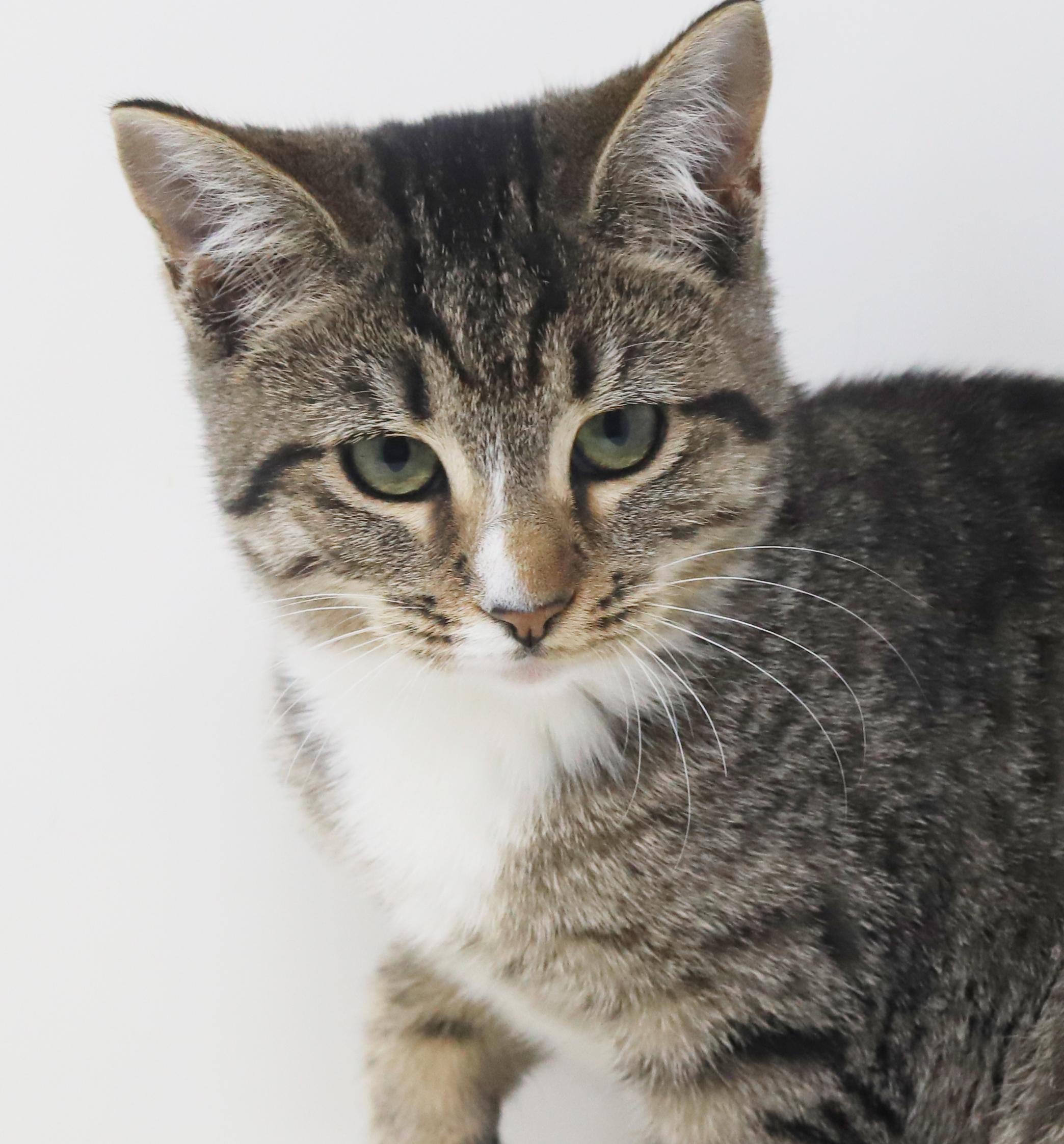 Marbles Is Sooo Darn thumbnail 5