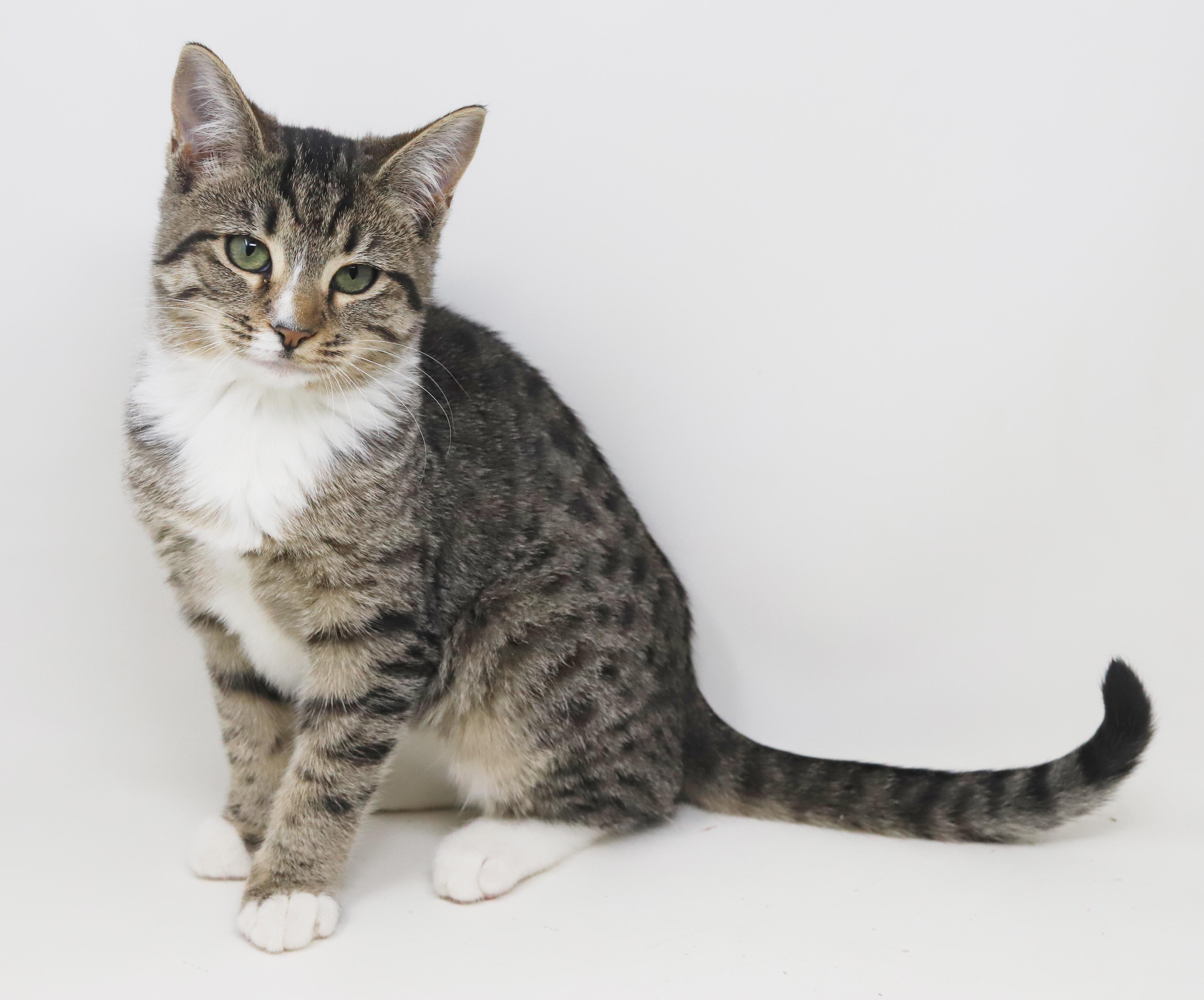 Marbles Is Sooo Darn thumbnail 6