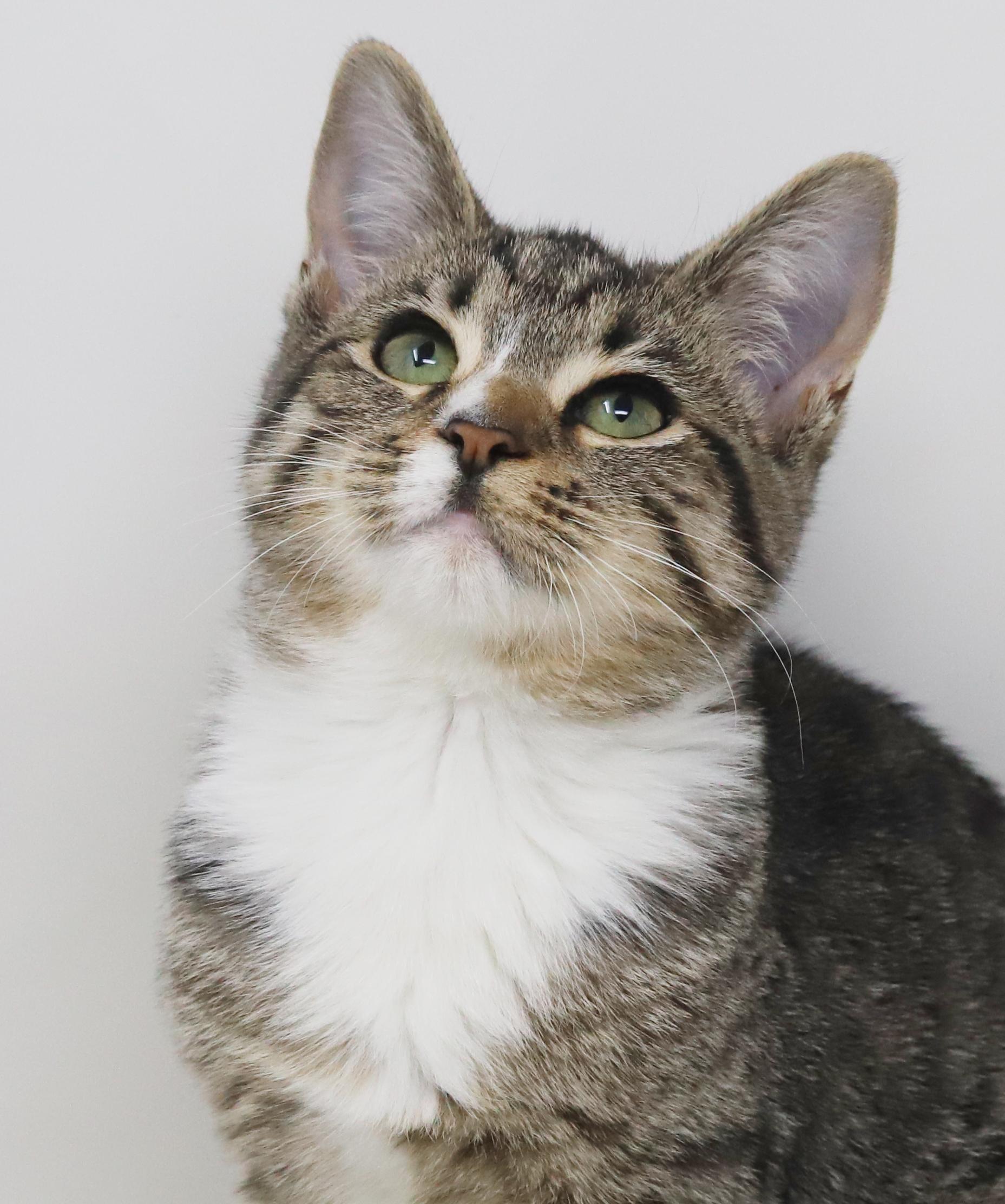 Marbles Is Sooo Darn thumbnail 7