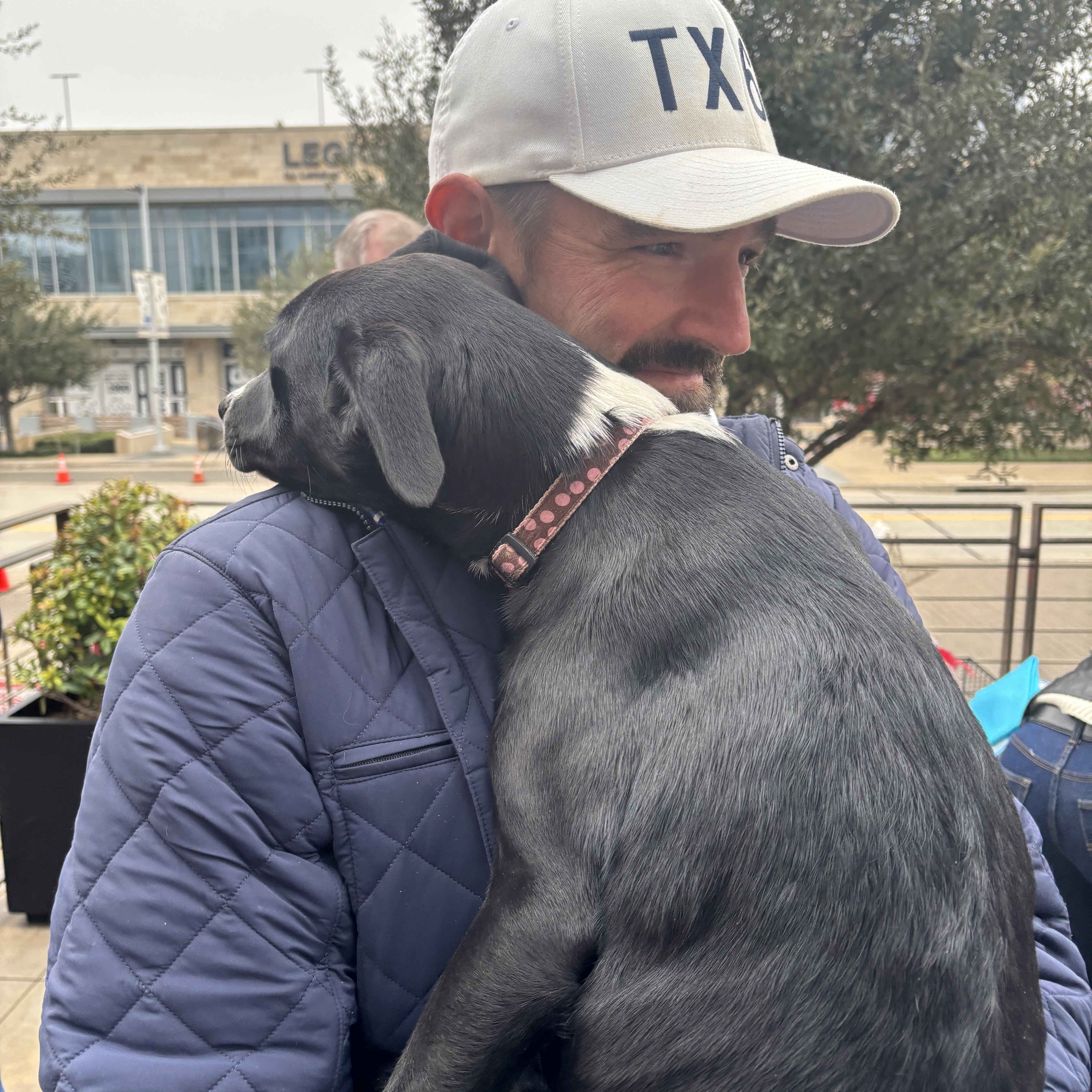 Enlarge Puppies! , a Adoptable mixed breed in Pilot Point, TX image 5/6