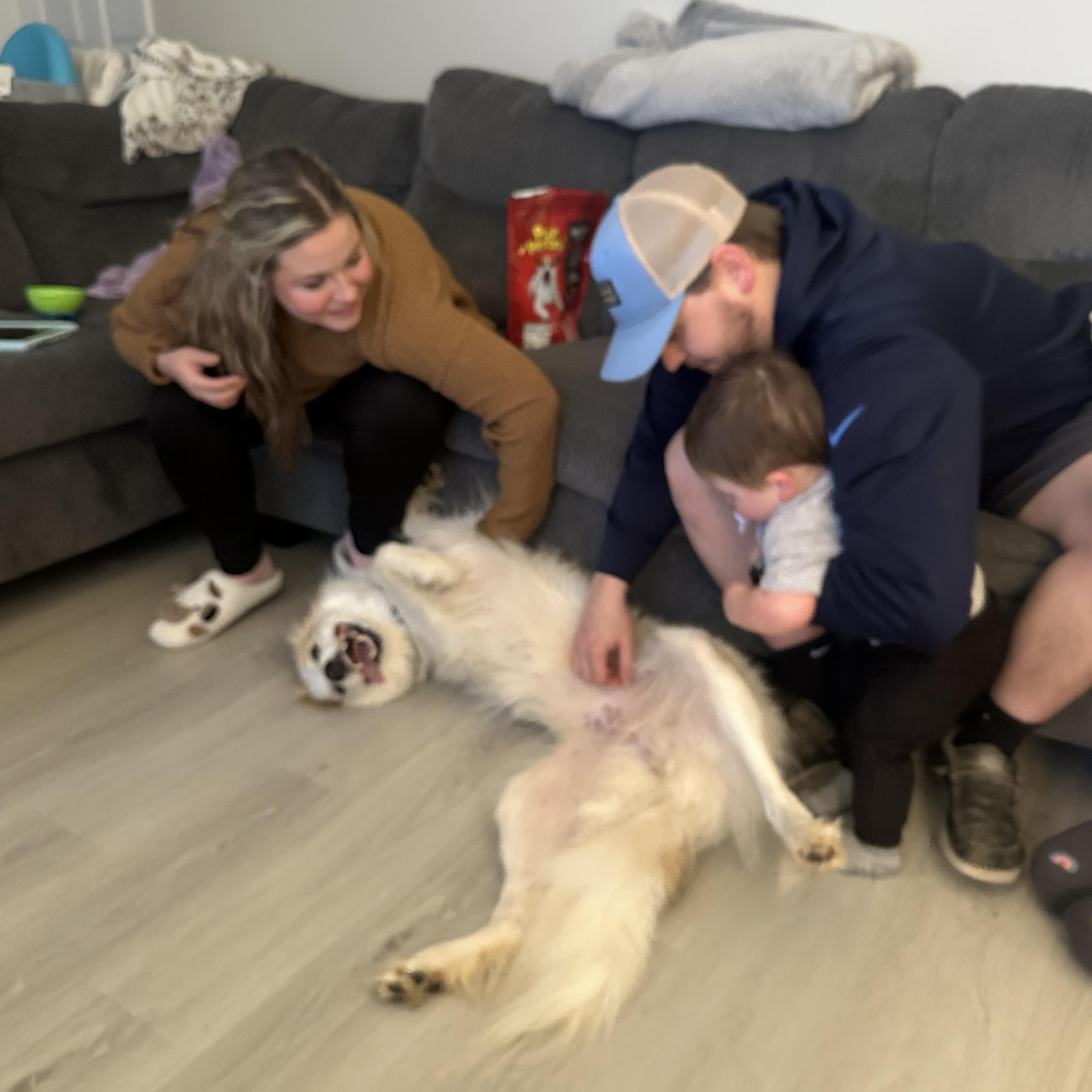 Minka, a Adoptable mixed breed in Sherman, CT image 5/5