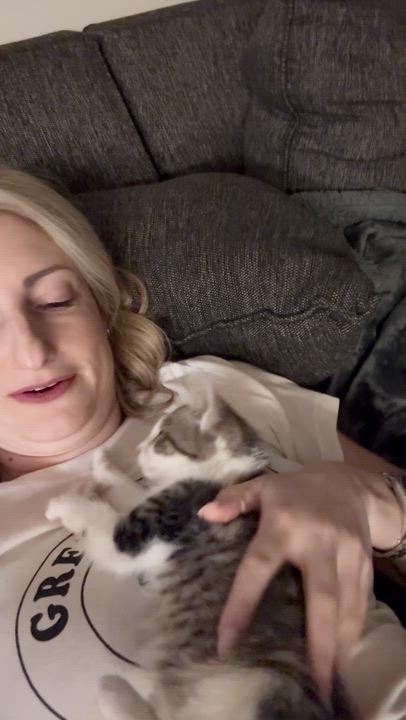 Enlarge Subaru, a ADOPTABLE Domestic Short Hair in brooklyn, NY video 2/6