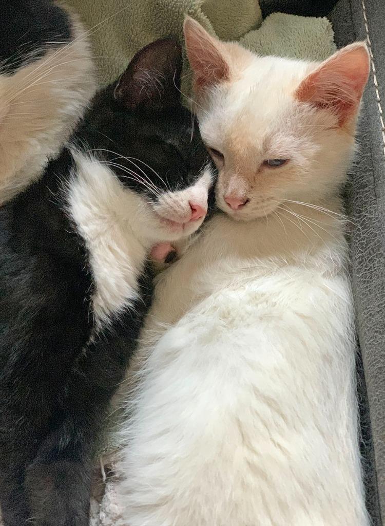 Lena — thumbnail 3