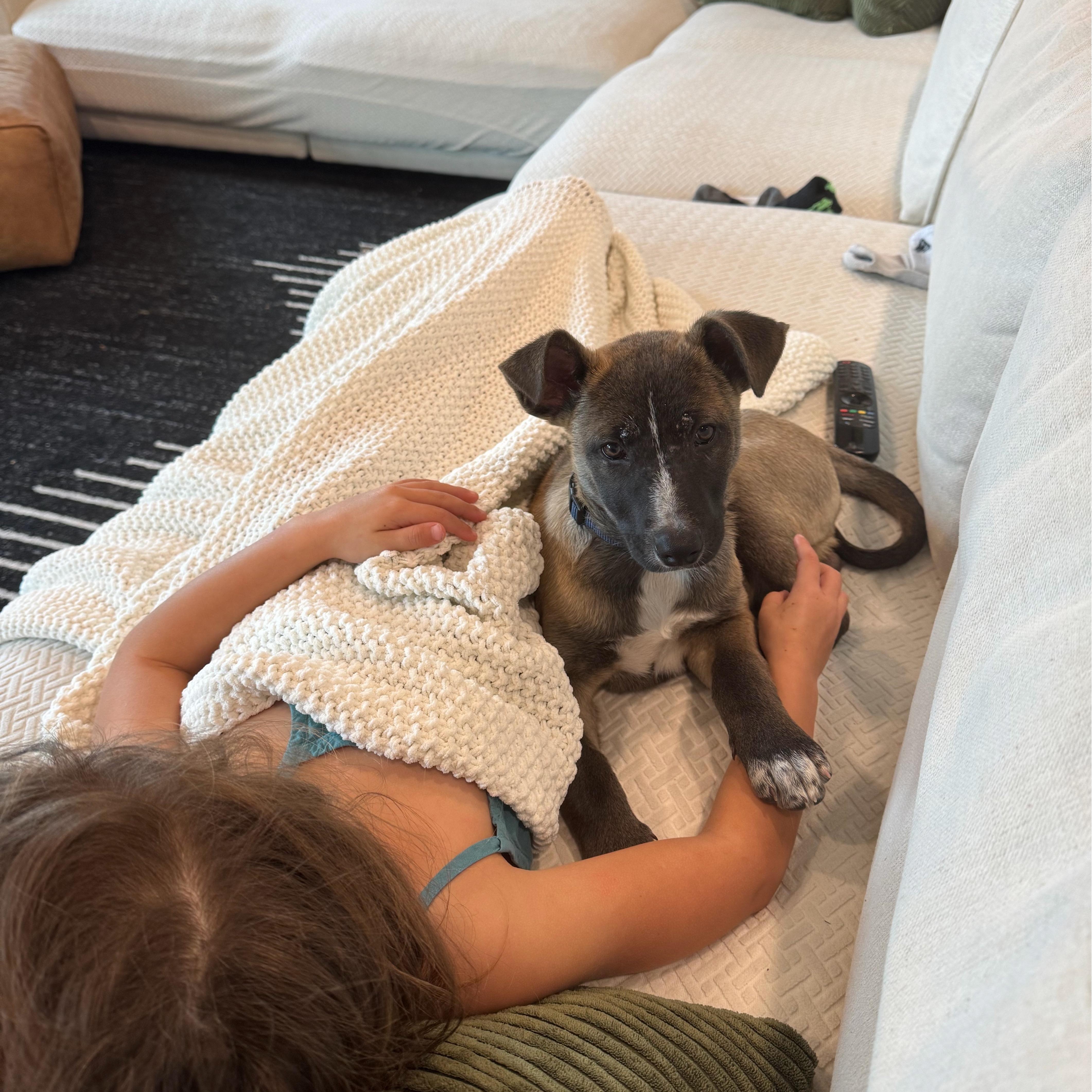 Enlarge Egg, a ADOPTABLE mixed breed in San Diego, CA image 3/5