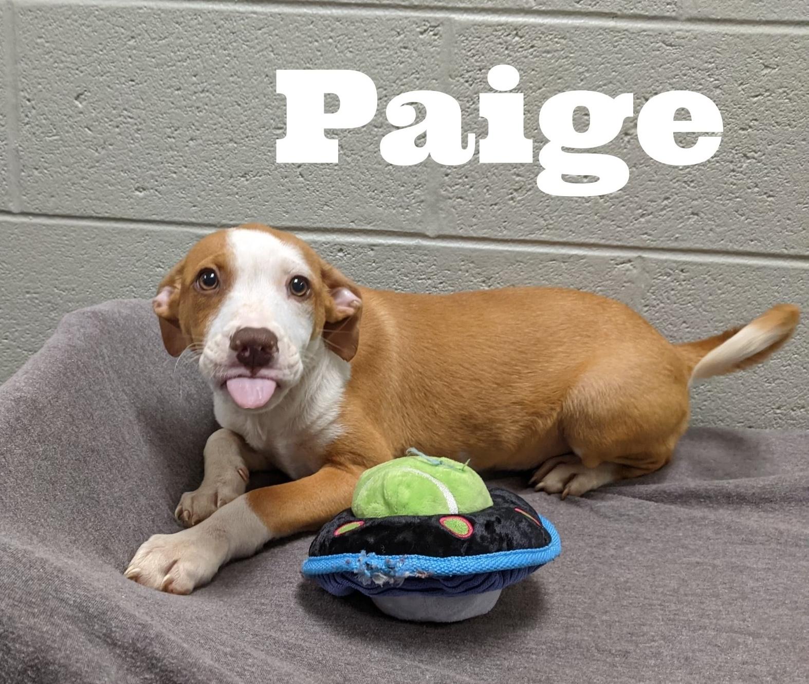 Paige thumbnail 4
