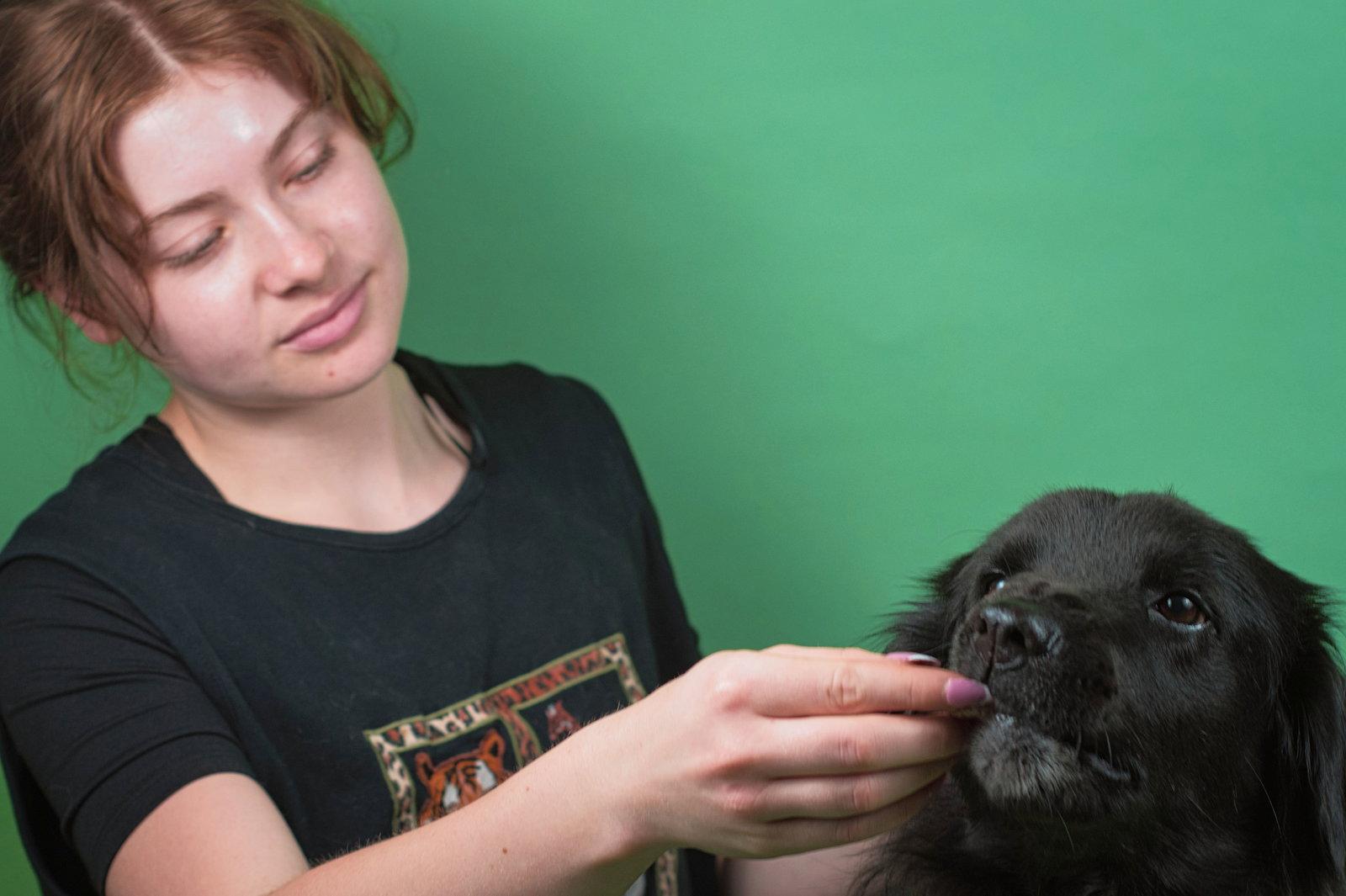 Enlarge Luna, a Adoptable mixed breed in Holly Springs, MS image 2/3