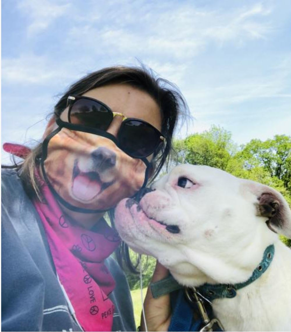 Enlarge Daisy Mae, a Adoptable English Bulldog in Landenberg, PA image 3/5