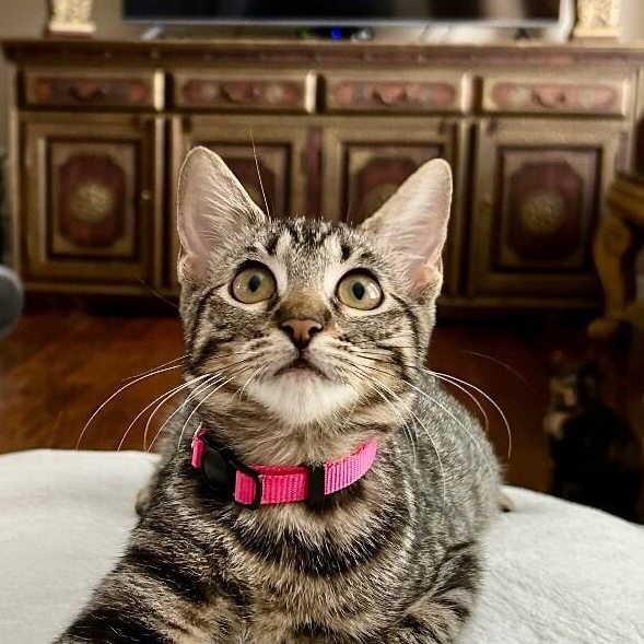 Cameron Clark — thumbnail 5