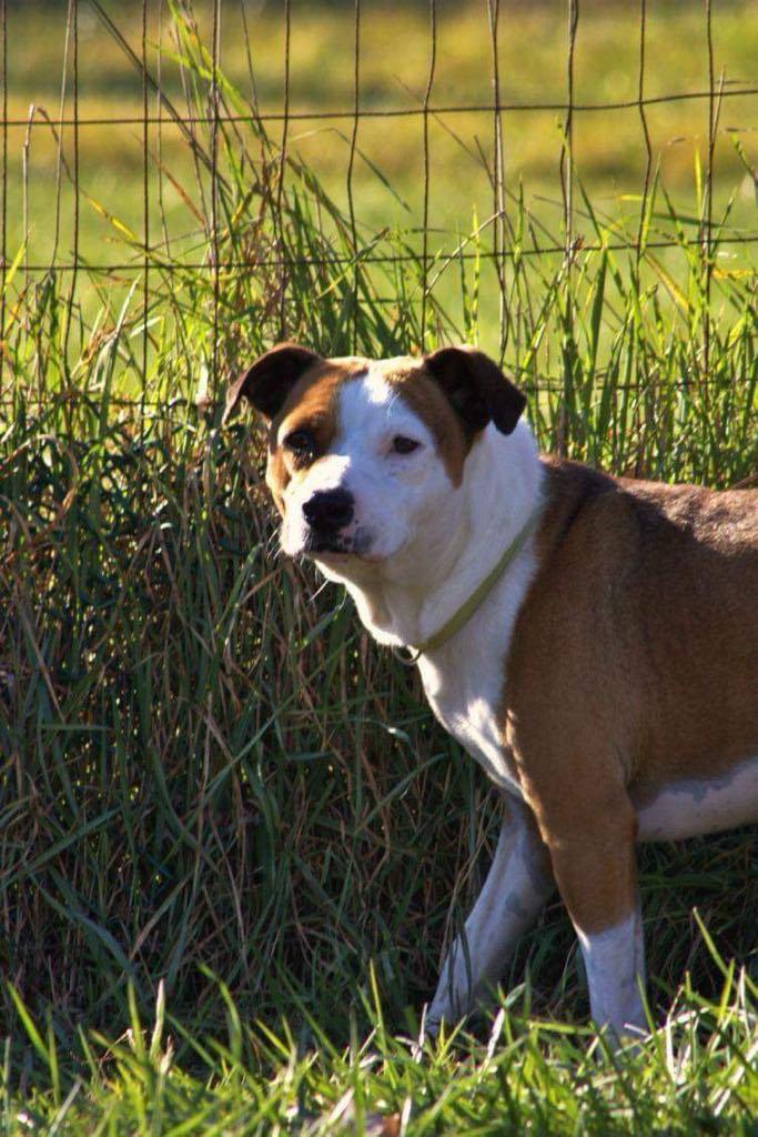 Otis photo 3