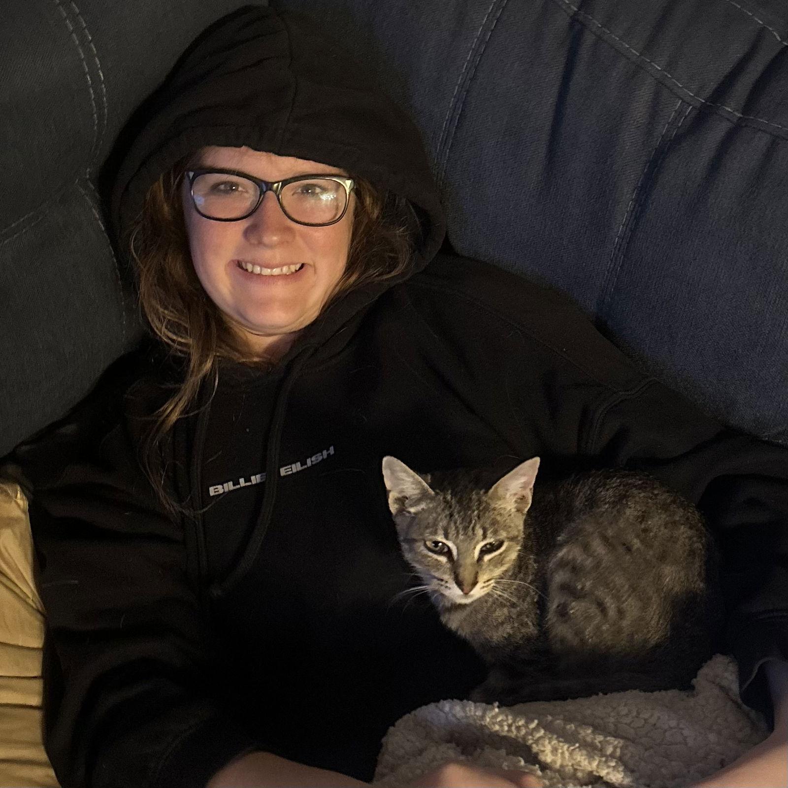 Hansel, Adoptable, Kitten Male Domestic Short Hair.