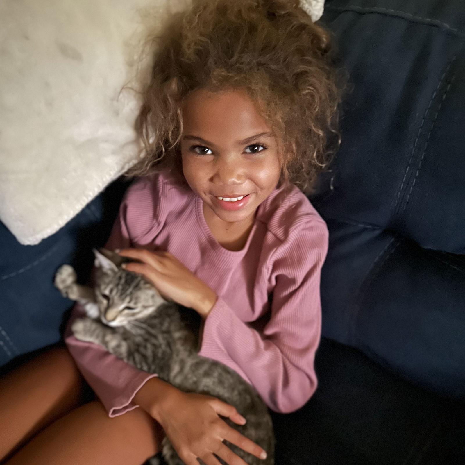 Enlarge Hansel, a Adoptable Domestic Short Hair in Tampa, FL image 3/3