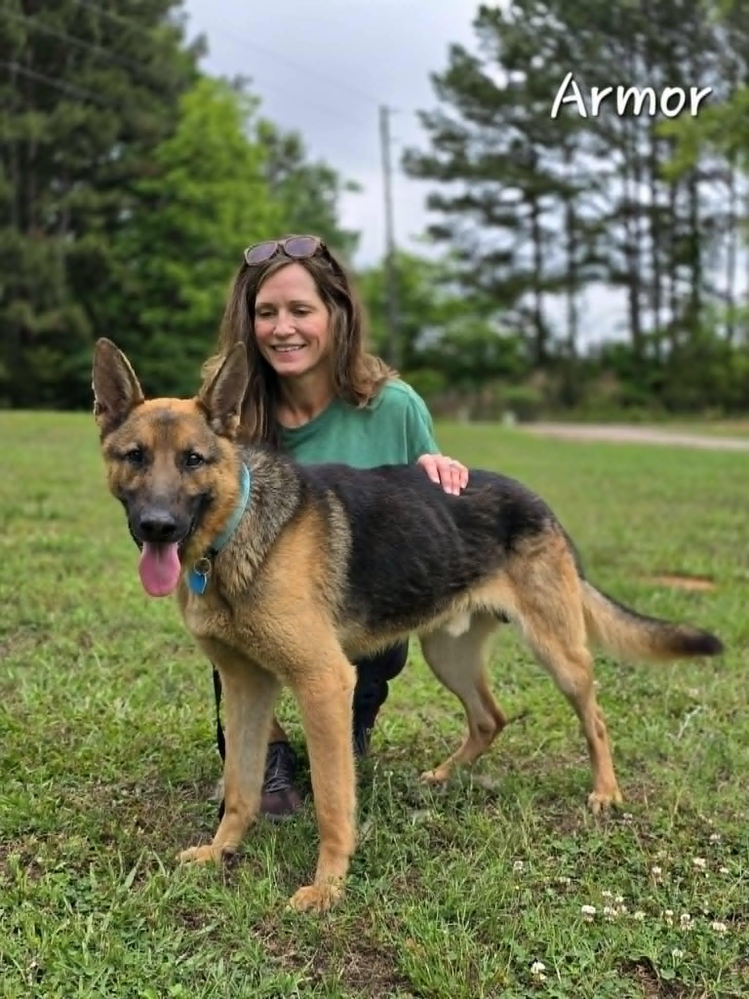 Armor, a ADOPTABLE German Shepherd Dog in Bishop, GA image 5/5