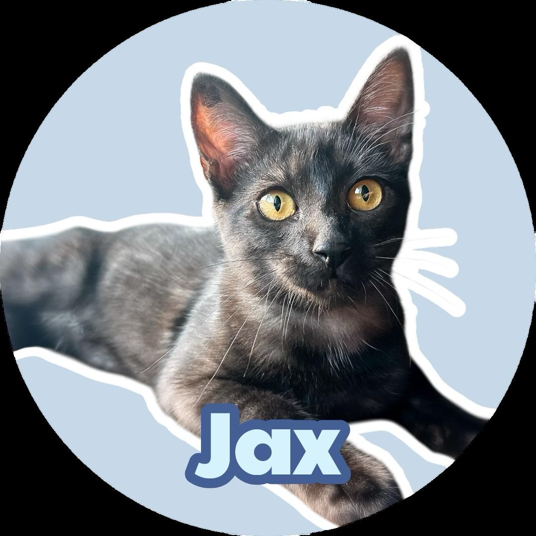 Jax