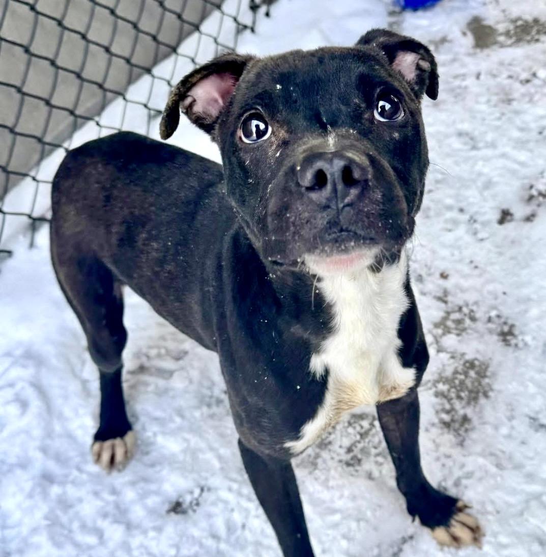 Martina — thumbnail 2