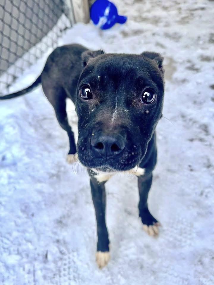 Martina — thumbnail 3