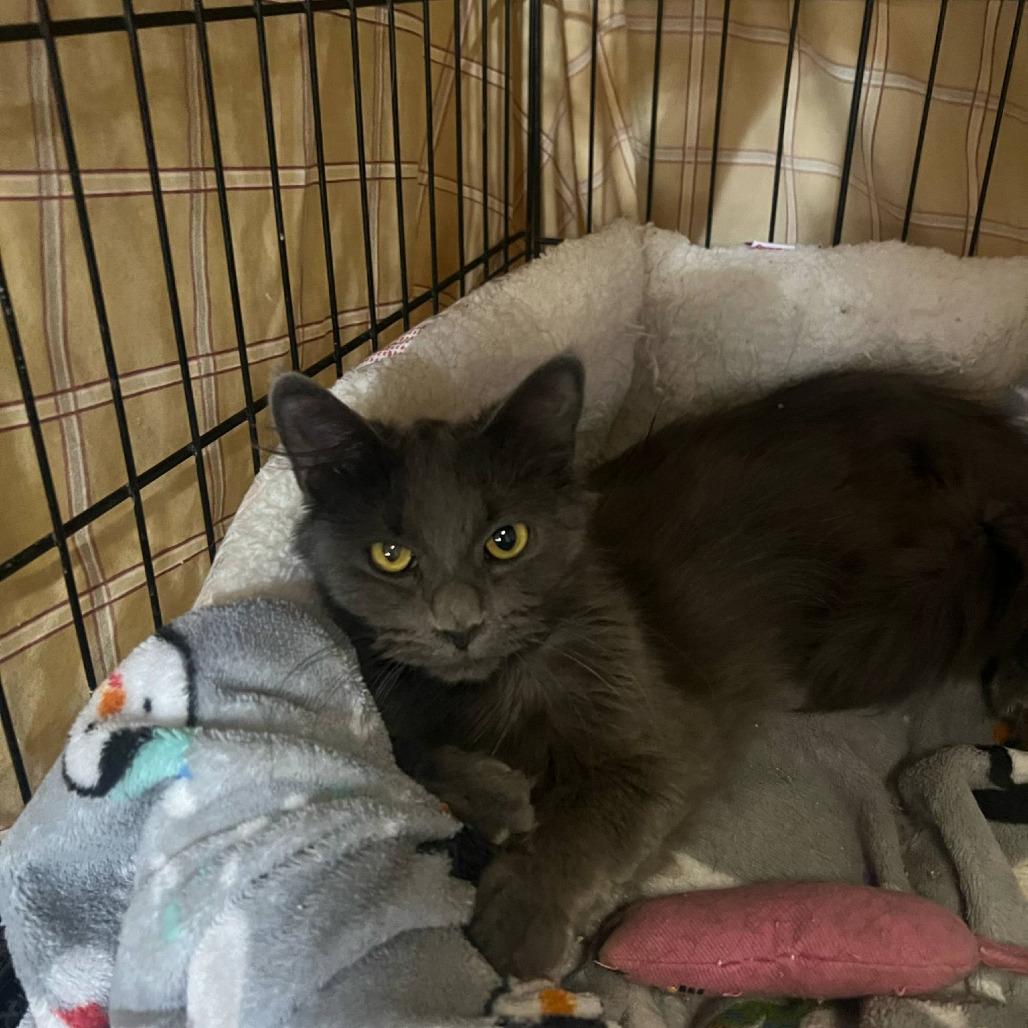 Cagney — thumbnail 6