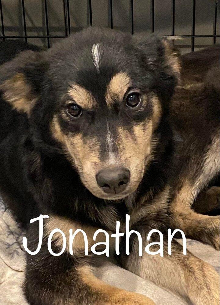 Enlarge Fluffernutter *READ ENTIRE DESCRIPTION*, a Adoptable mixed breed in Spokane, WA image 2/3