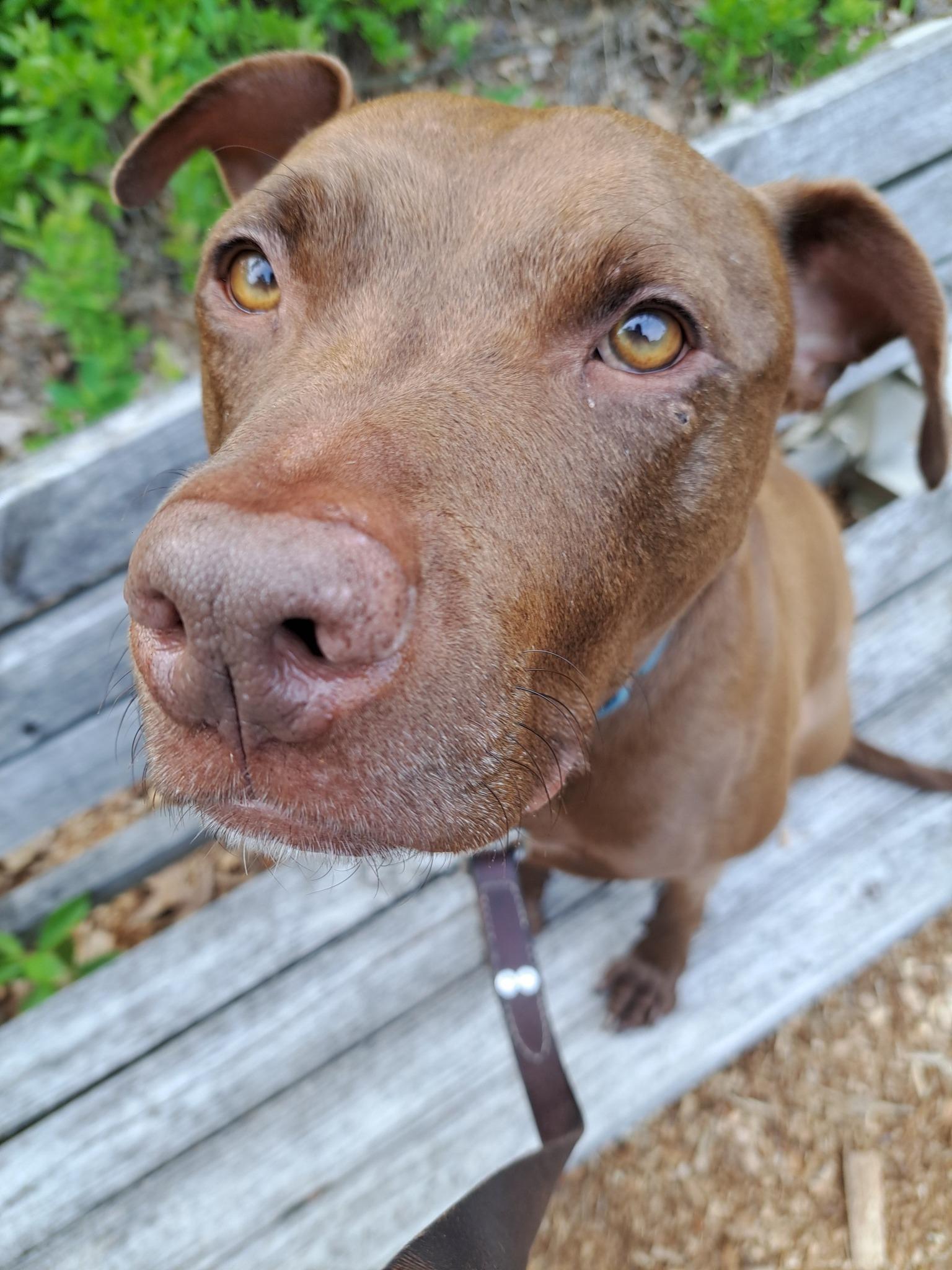 Zeek 1