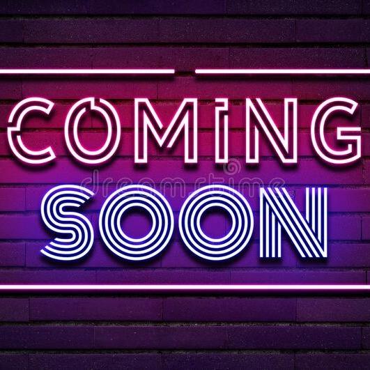 Enlarge Pixel-C, a Adoptable Domestic Long Hair in East Saint Louis, IL image 3/4