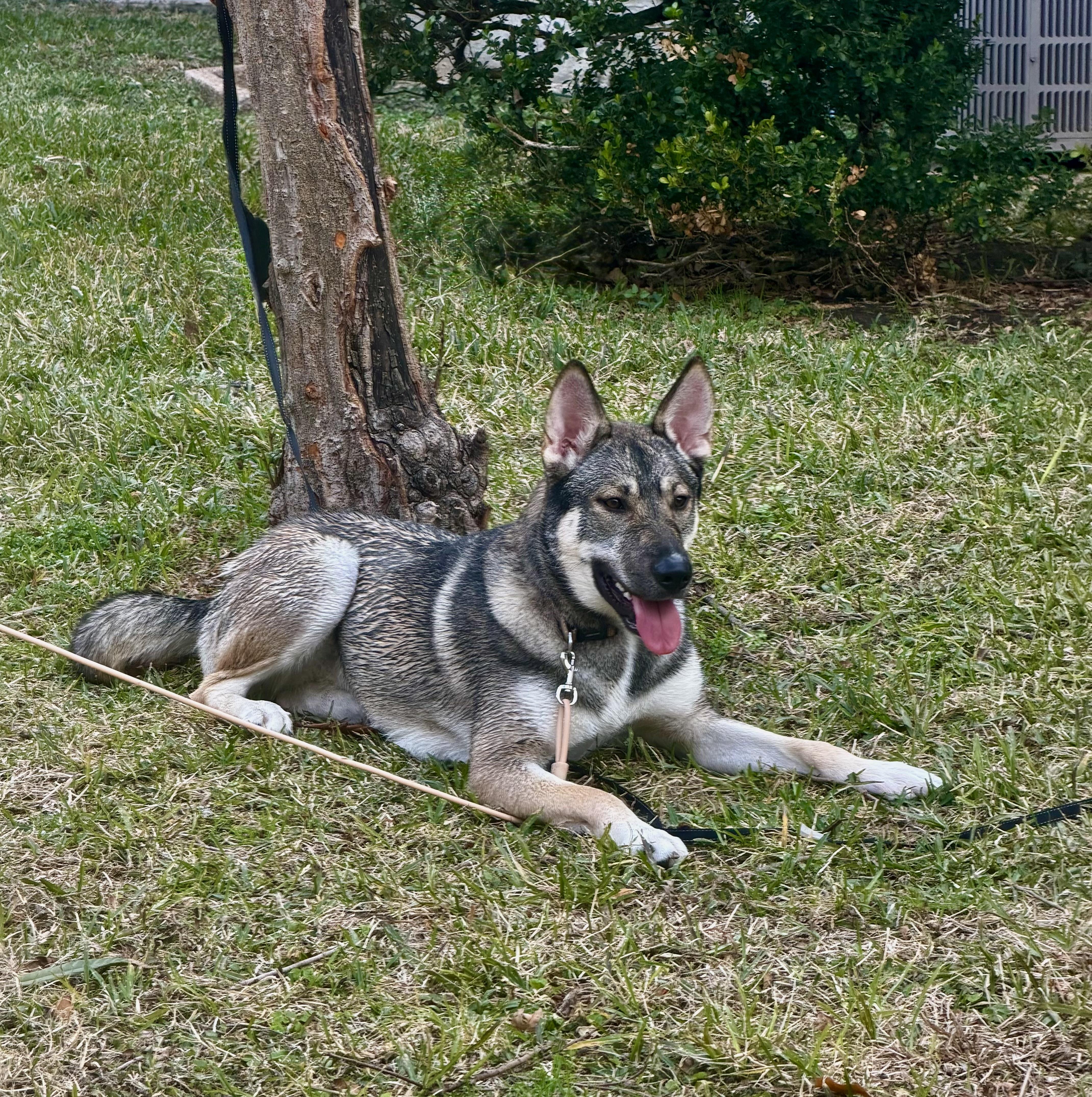 Ellen — thumbnail 4