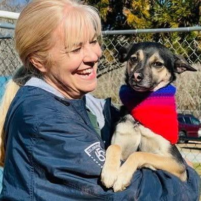 Enlarge Lorcan, a Adoptable mixed breed in Richmond, VA image 6/6