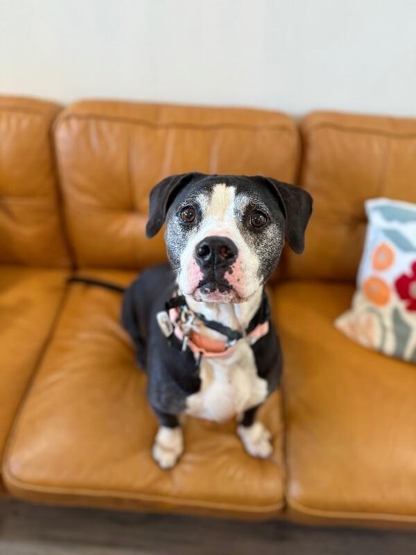 Hope loves all the treats