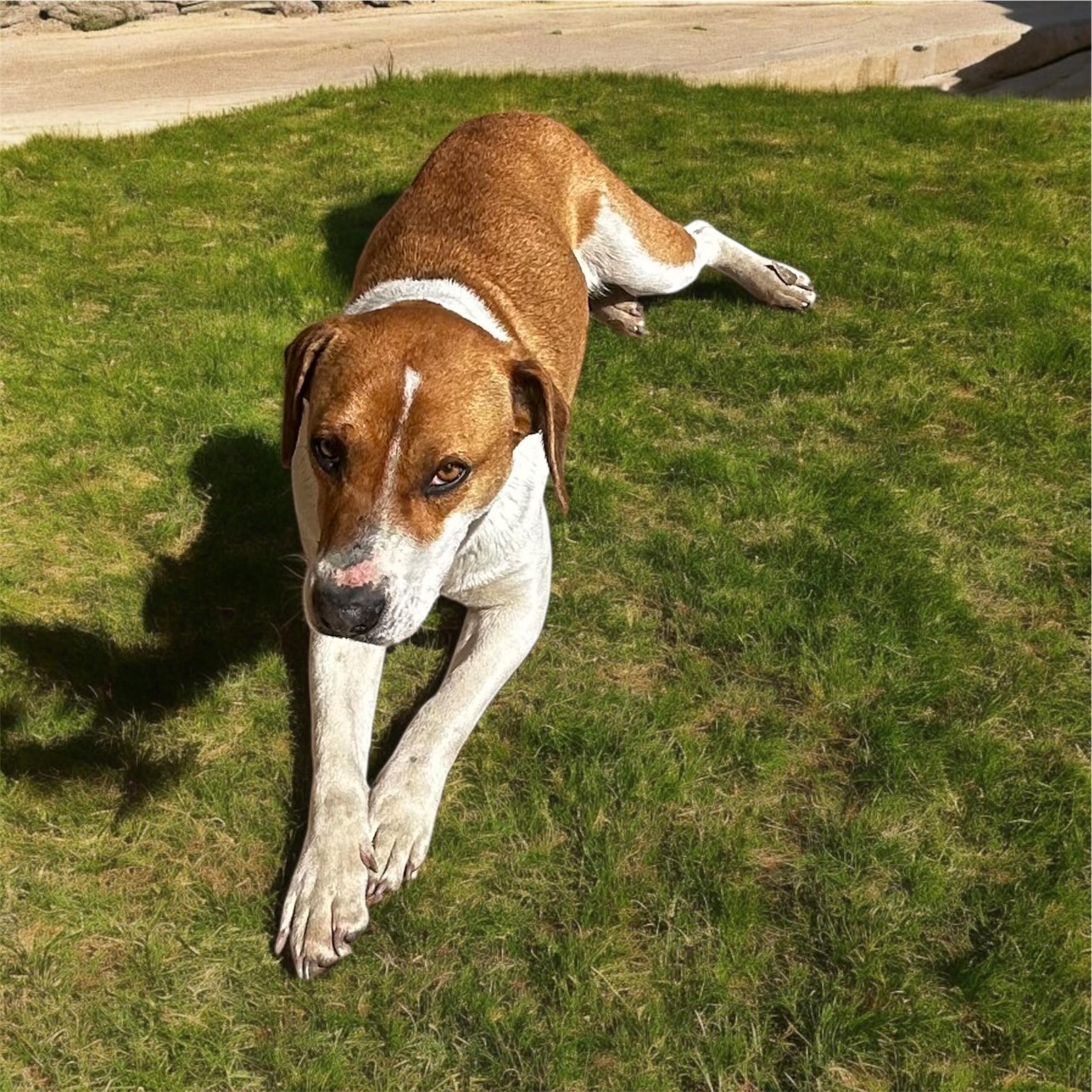 Missy photo 2