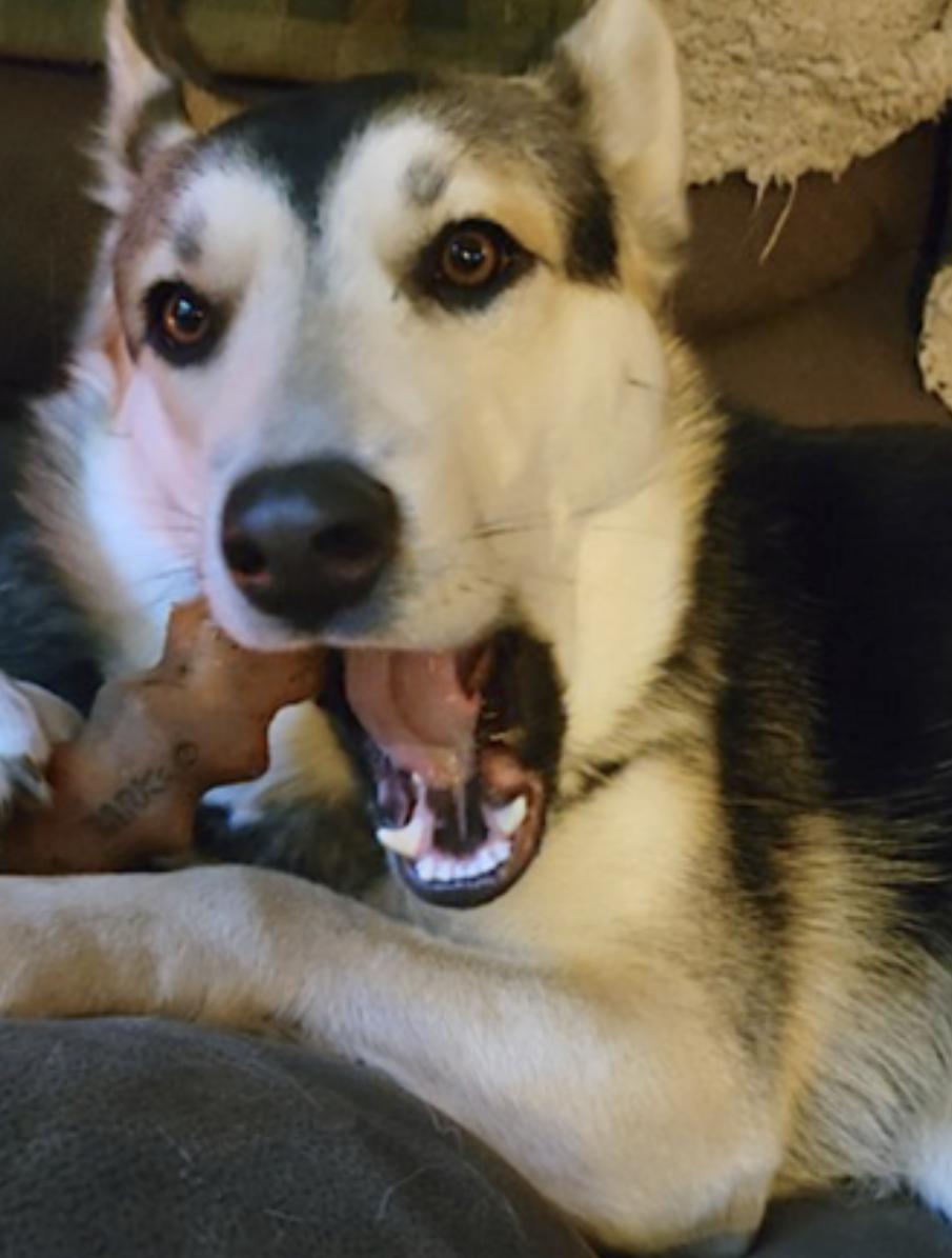 Badb — thumbnail 4