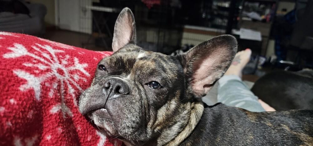 Marrin Rose   thumbnail 2