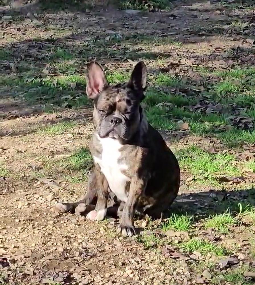 Marrin Rose   thumbnail 4