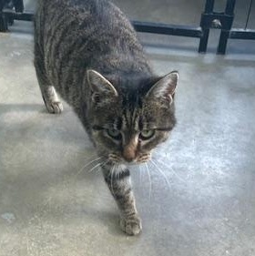 Little Bit thumbnail 2