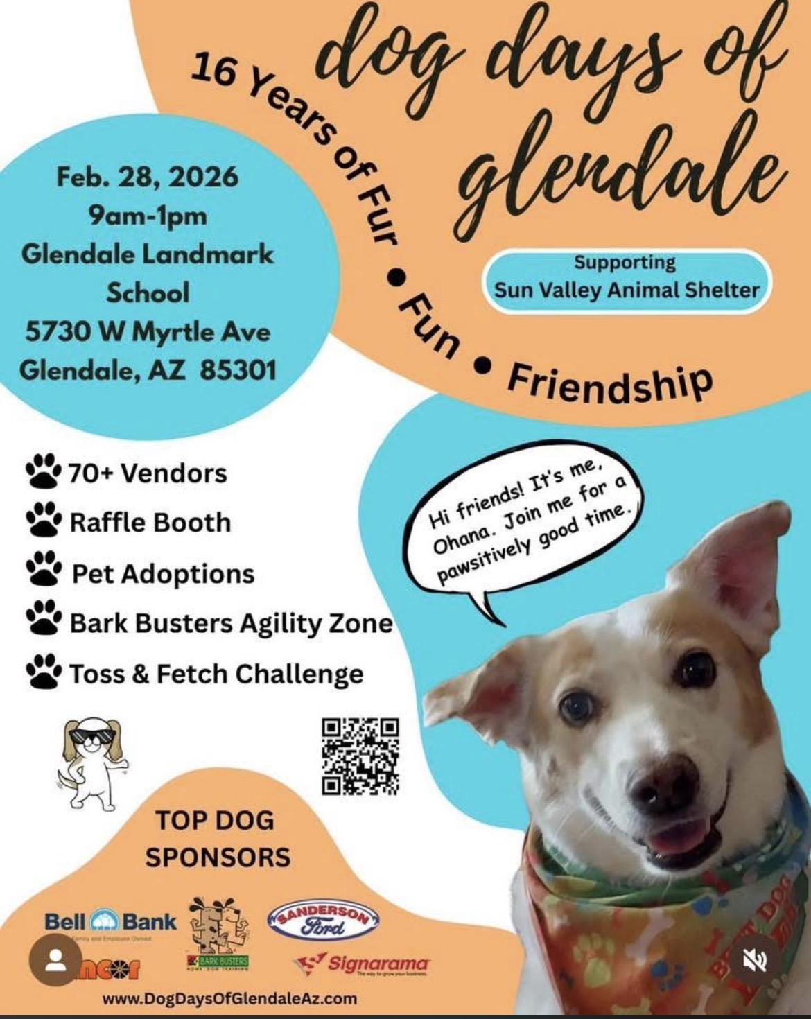 Saturday Adoption Event , an adopted Mixed Breed in Phoenix, AZ image 1/6