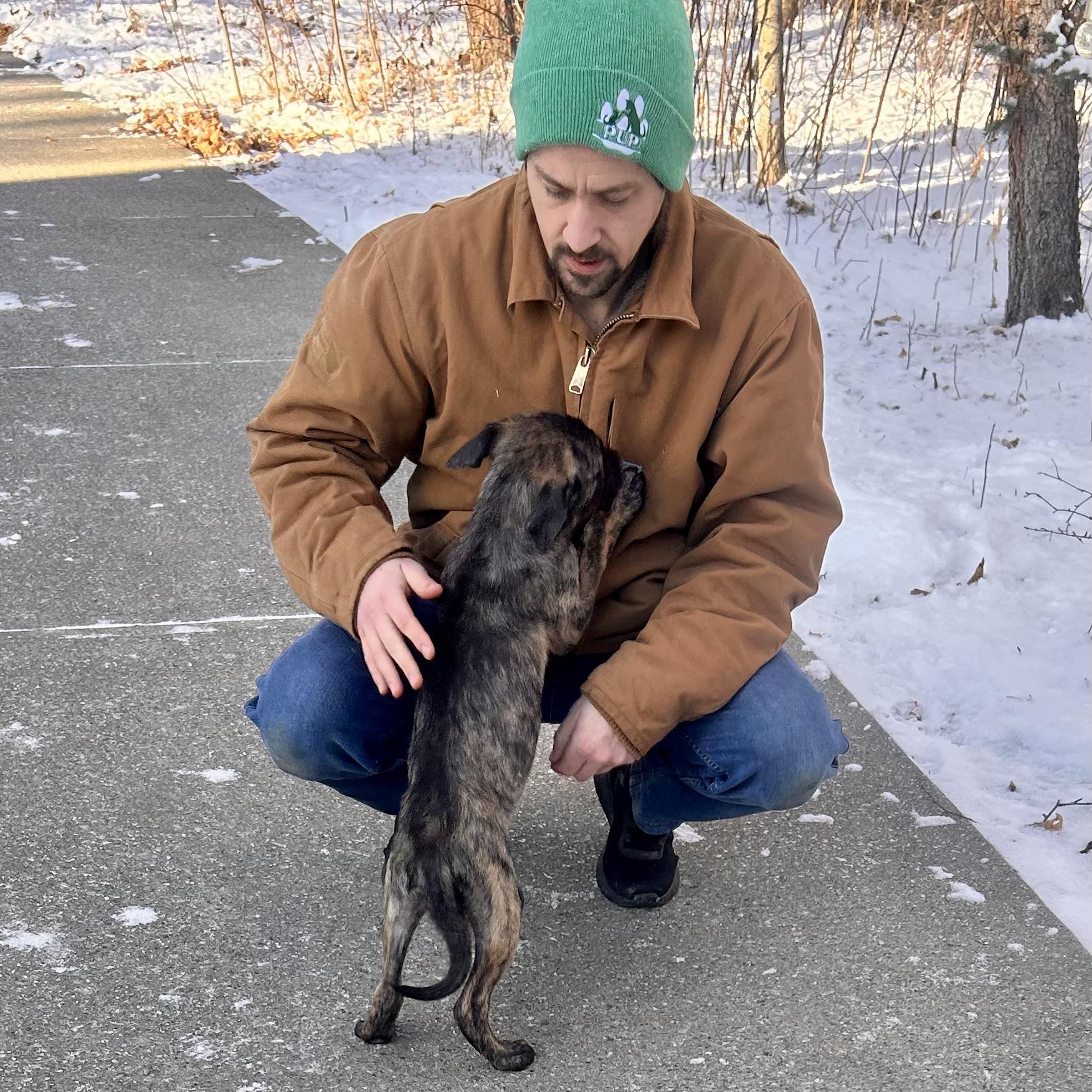 Imogen, Adoptable, Puppy Female Mixed Breed.