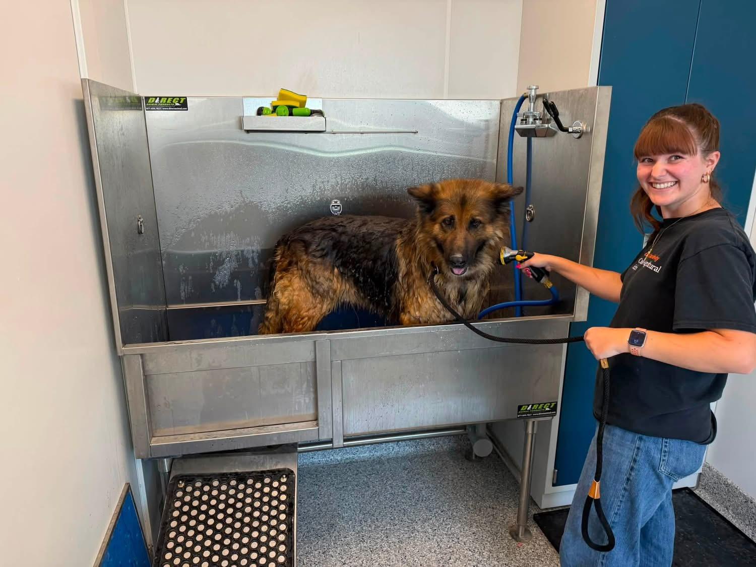 Grizz, a ADOPTABLE German Shepherd Dog in Prineville, OR image 4/6