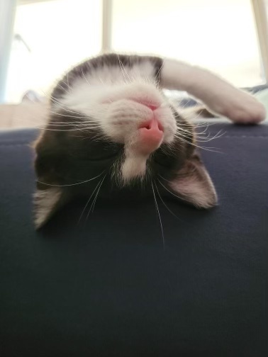 Lani (sky) thumbnail 3
