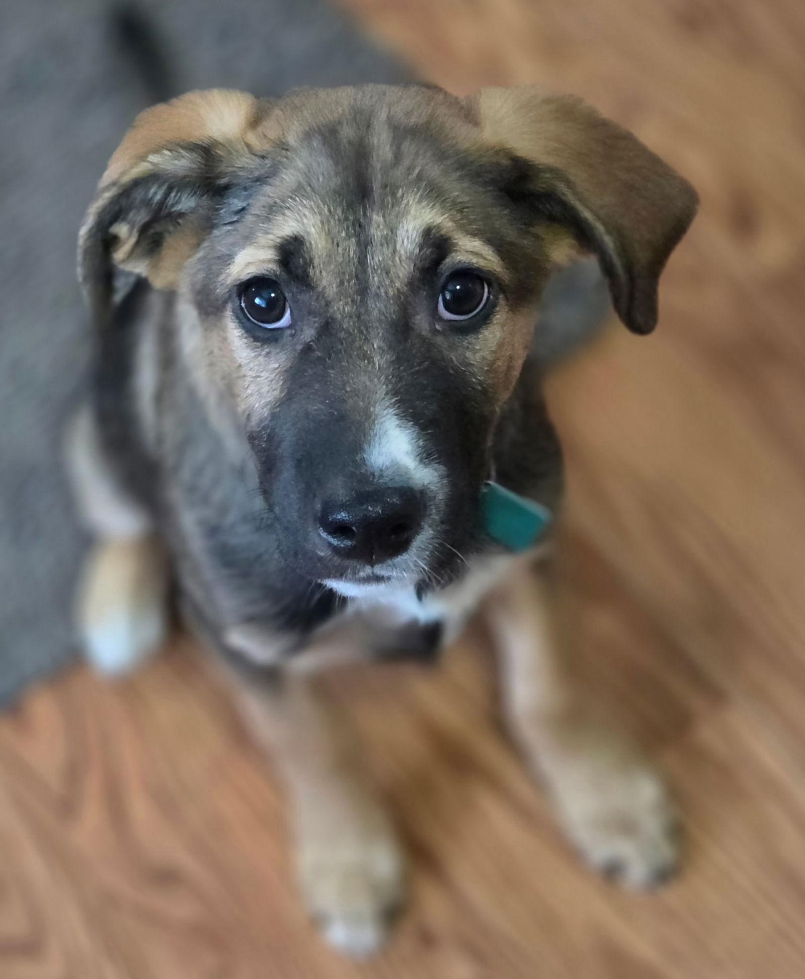 George *Sweetest Boy on the Block