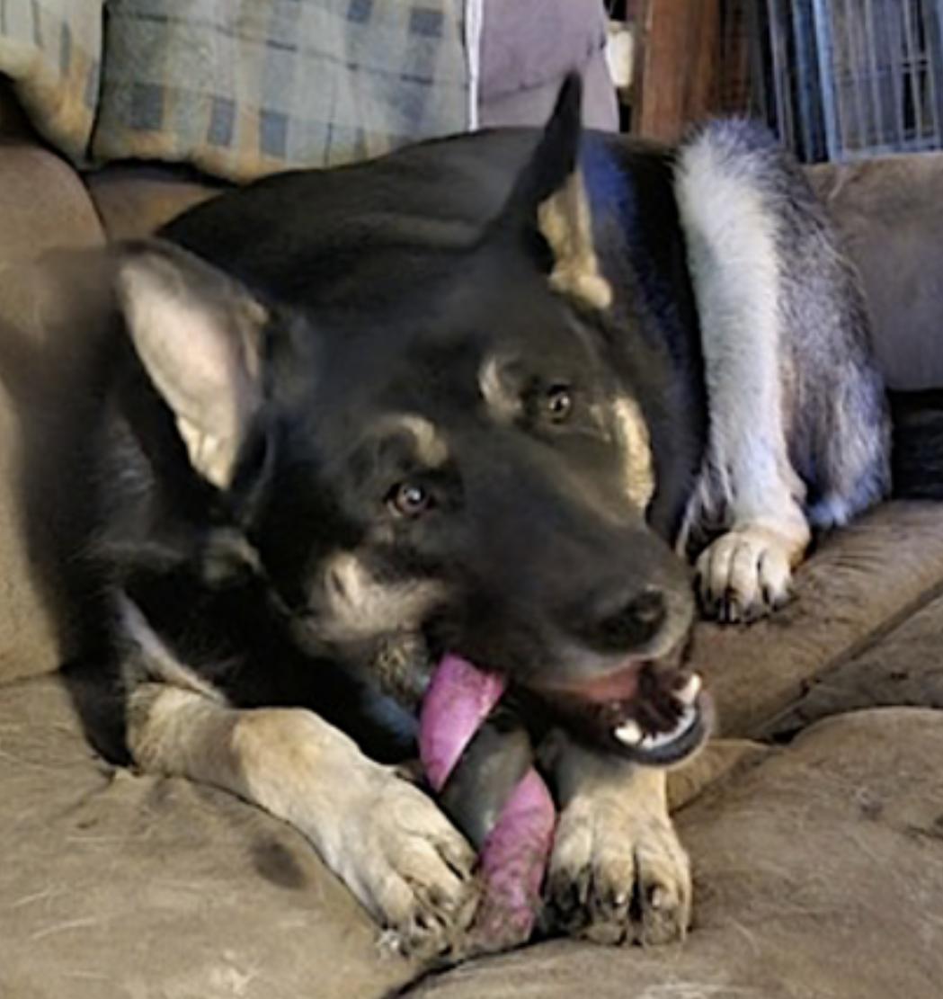 Bronagh — thumbnail 5