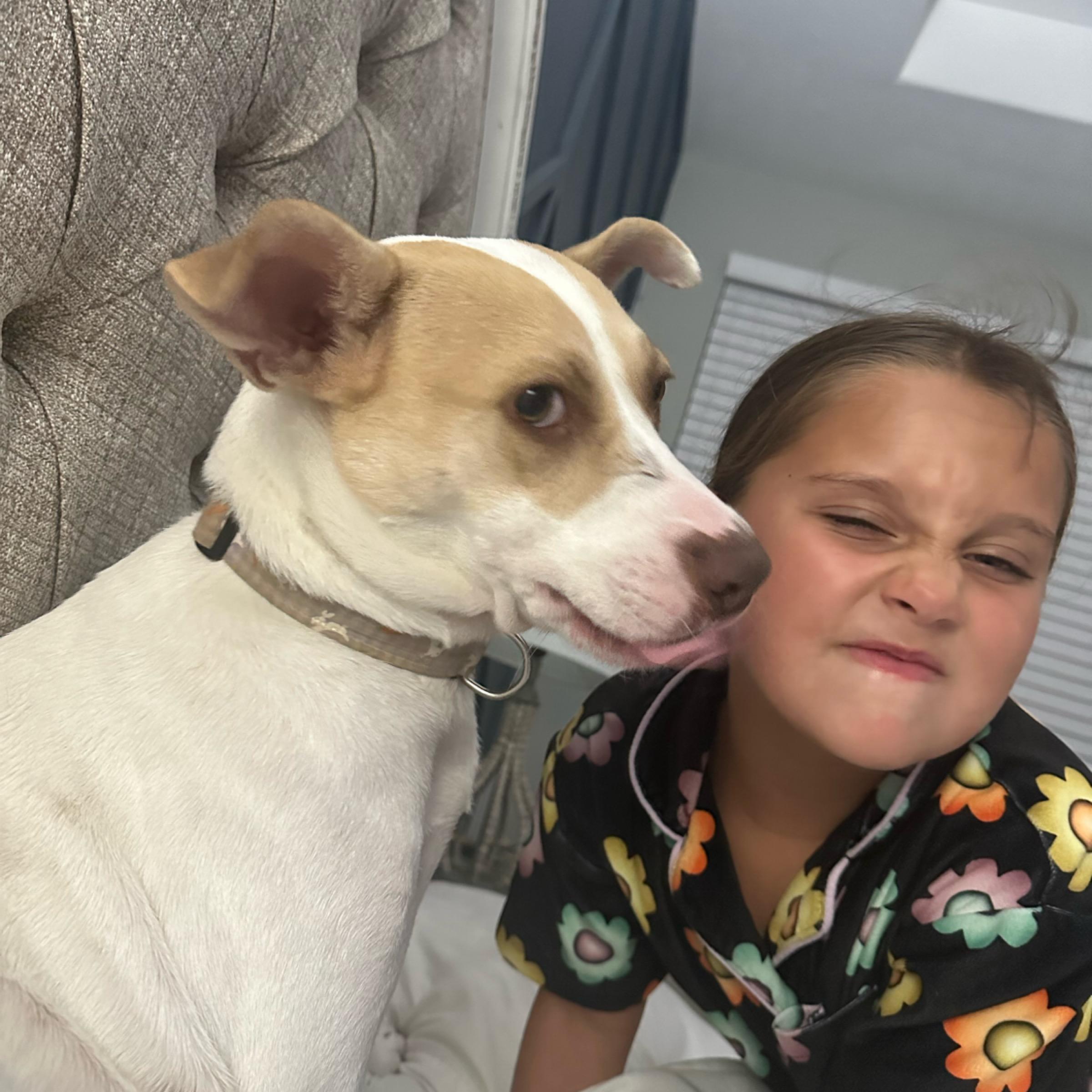 Ella, a Adoptable Terrier in Kingwood, TX image 2/6