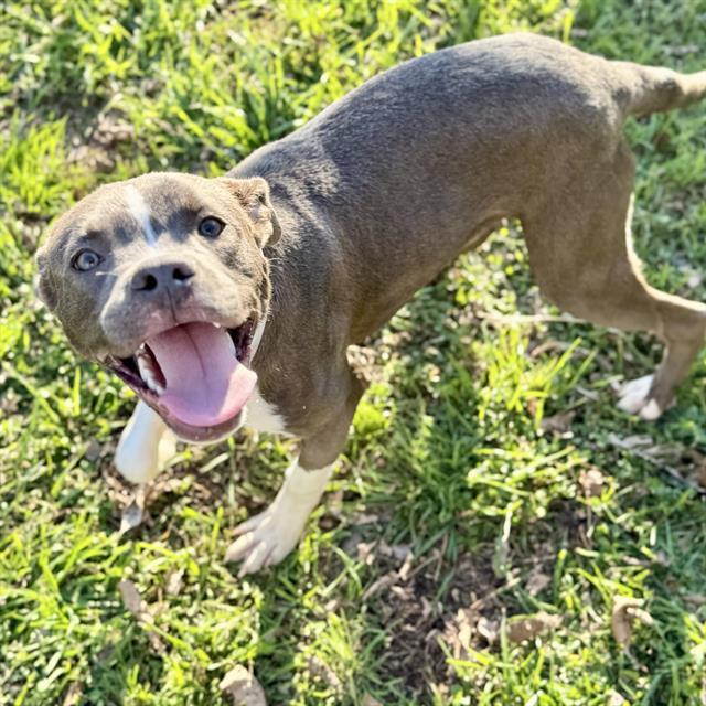 MARLO — thumbnail 2