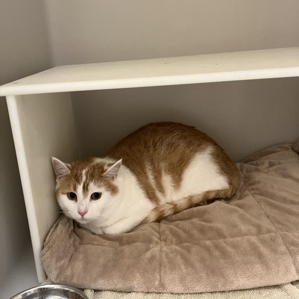 Coraline — thumbnail 2