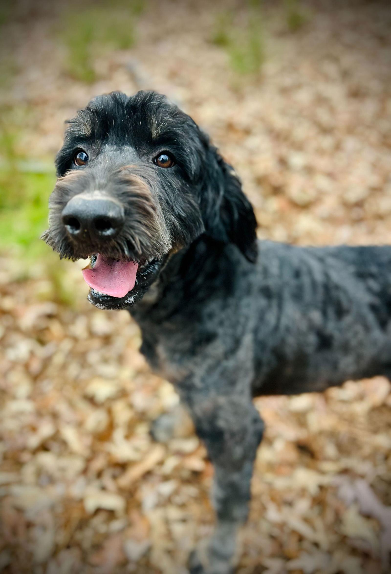 Petey Nov thumbnail 3