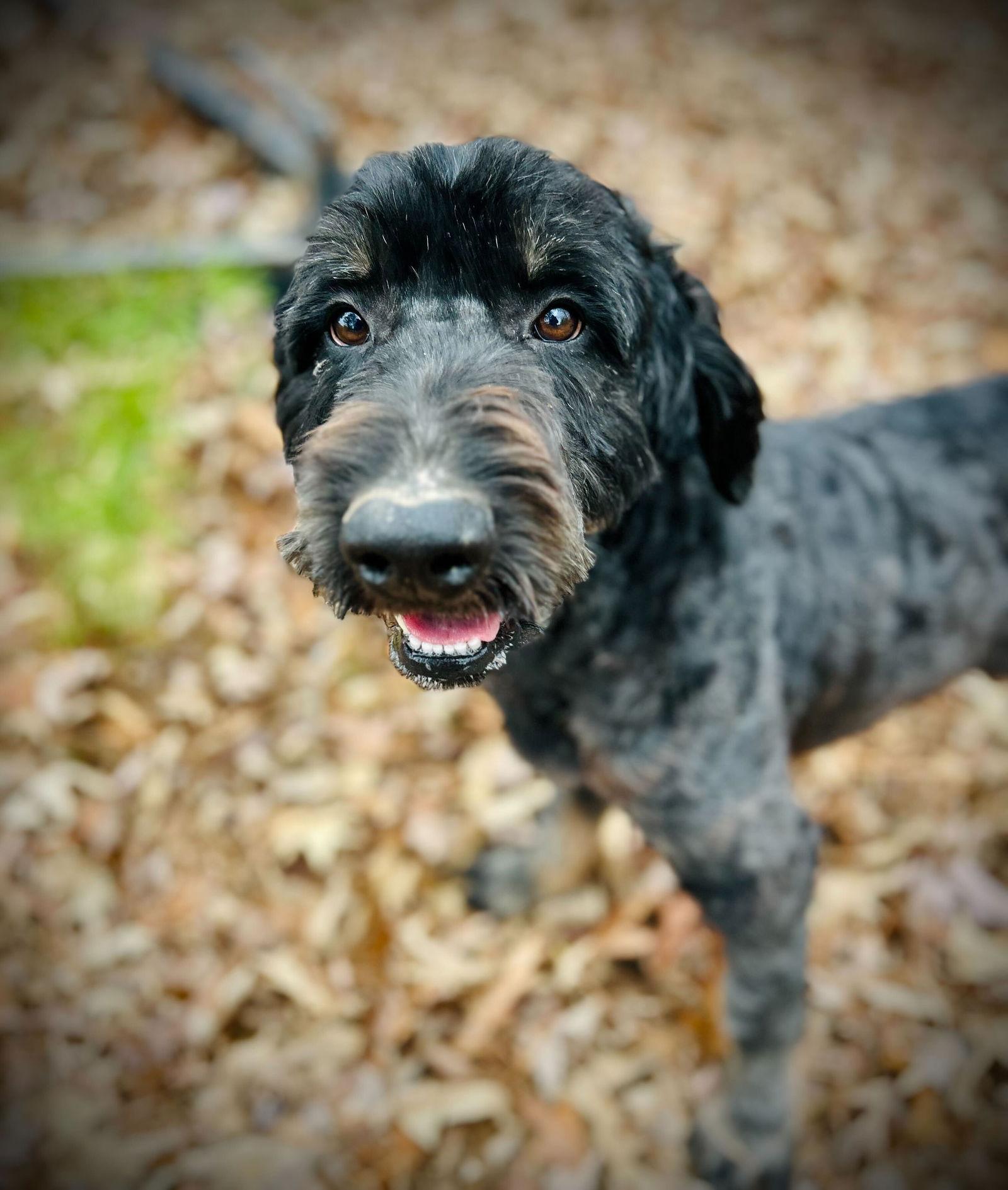 Petey Nov thumbnail 4