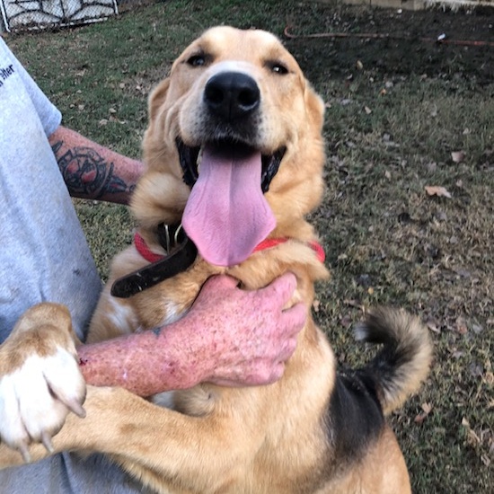 Brutus, Adult Male unknown