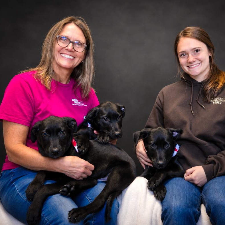 Puppies-- Edward, Prince and Hightide, a ADOPTABLE mixed breed in Cheboygan, MI image 4/5