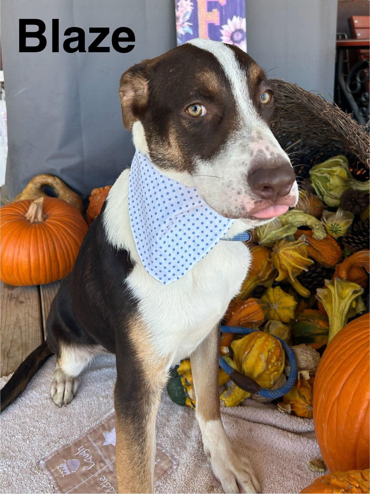 Blaze — thumbnail 3